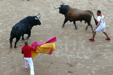 Dos toros de la ganadería La Palmosilla se pasearon durante dos minutos por la plaza de toros, creando momentos de peligro, en el prime encierro de los Sanfermines 2024