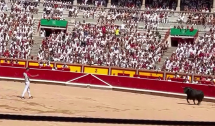 Vídeo de la cogida al recortador pamplonés Aarón Grande