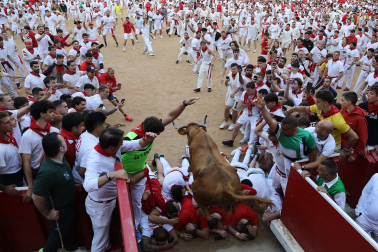 Vaquillas en la plaza de toros de Pamplona tras el segundo encierro de San Fermín 2024. |