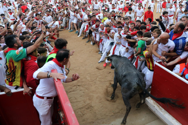 Vaquillas en la plaza de toros de Pamplona tras el segundo encierro de San Fermín 2024. |