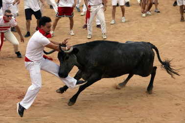 Vaquillas en la plaza de toros de Pamplona tras el segundo encierro de San Fermín 2024. |