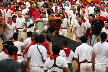 Vaquillas en la plaza de toros de Pamplona tras el segundo encierro de San Fermín 2024. |