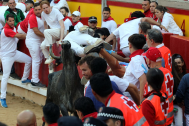 Vaquillas en la plaza de toros de Pamplona tras el segundo encierro de San Fermín 2024. |