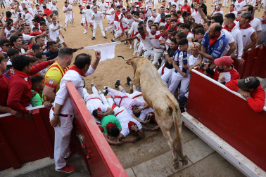 Vaquillas en la plaza de toros de Pamplona tras el segundo encierro de San Fermín 2024. |