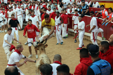 Vaquillas en la plaza de toros de Pamplona tras el segundo encierro de San Fermín 2024. |
