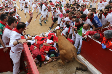 Vaquillas en la plaza de toros de Pamplona tras el segundo encierro de San Fermín 2024. |