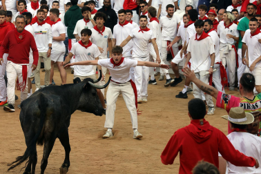Vaquillas en la plaza de toros de Pamplona tras el segundo encierro de San Fermín 2024. |