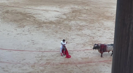 El mexicano, que ya tenía un aparatoso vendaje en el codo derecho por una cogida que sufrió hace una semana, no ha podido continuar
