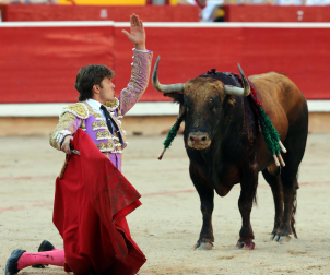 Fotos de la corrida de toros de Cebada Gago en la Feria de San Fermín 2024./