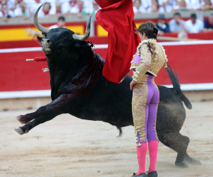 Fotos de la corrida de toros de Cebada Gago en la Feria de San Fermín 2024./