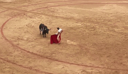El diestro francés se ha llevado un buen susto, que afortunadamente se ha saldado sin consecuencias