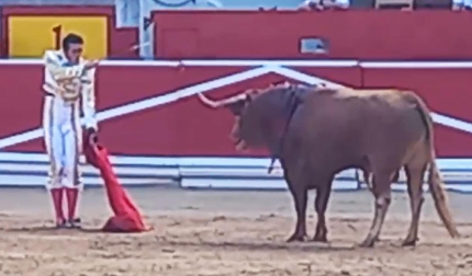 Estocada de Alejandro Talavante al primer toro de la corrida del 11 de julio