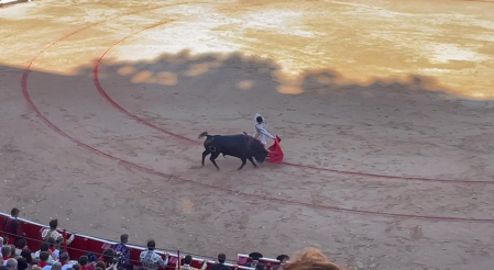 El torero madrileño, muy querido en Pamplona, le ha arrancado buenos muletazos al primero de su lote