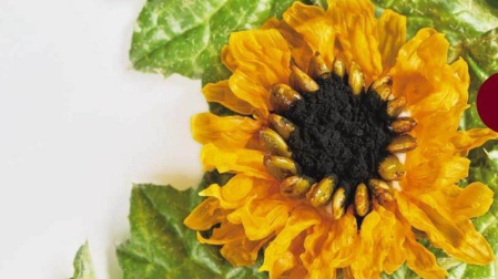 Una de las creaciones de Joanna Artieda