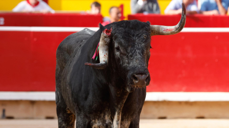 Tahonero tras romperse el asta contra el burladero