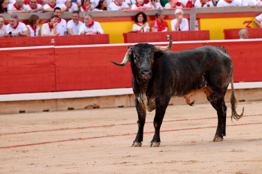 Fotos de la corrida de la ganadería de Miura