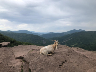 En el mirador de Zumariain.