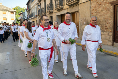 Fotos de la procesión de Santiago en Tudela.