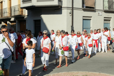 Fotos de la procesión de Santiago en Tudela.