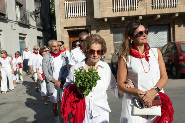 Fotos de la procesión de Santiago en Tudela.