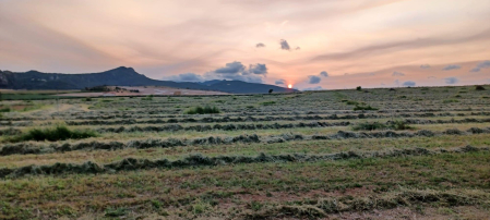 Puesta de sol entre Oco y Legaria. /