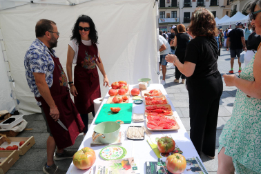 Fotos de la fiesta del tomate feo en Tudela.