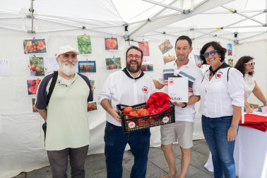 Fotos de la fiesta del tomate feo en Tudela.
