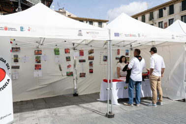 Fotos de la fiesta del tomate feo en Tudela.