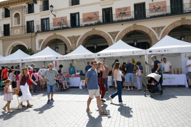 Fotos de la fiesta del tomate feo en Tudela.