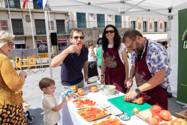 Fotos de la fiesta del tomate feo en Tudela.