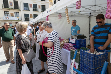 Fotos de la fiesta del tomate feo en Tudela.