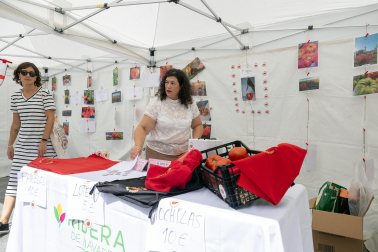 Fotos de la fiesta del tomate feo en Tudela.