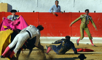 Fotos de la novillada y la cornada a Miguel Serrano en Peralta. /