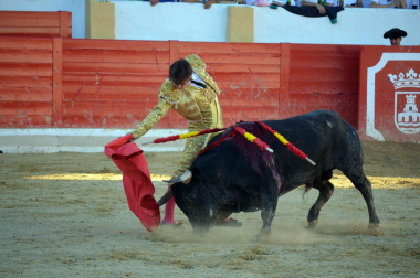 Fotos de la novillada y la cornada a Miguel Serrano en Peralta. /