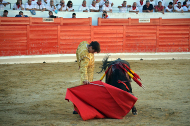 Fotos de la novillada y la cornada a Miguel Serrano en Peralta. /