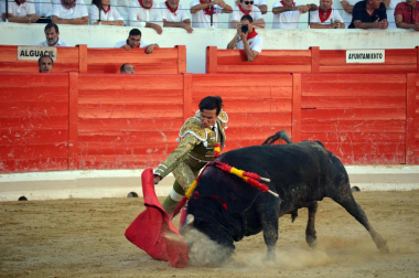 Fotos de la novillada y la cornada a Miguel Serrano en Peralta. /