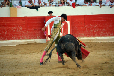 Fotos de la novillada y la cornada a Miguel Serrano en Peralta. /