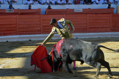 Fotos de la novillada y la cornada a Miguel Serrano en Peralta. /