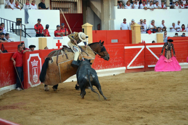 Fotos de la novillada y la cornada a Miguel Serrano en Peralta. /