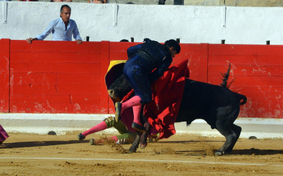 Fotos de la novillada y la cornada a Miguel Serrano en Peralta. /