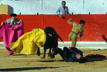 Fotos de la novillada y la cornada a Miguel Serrano en Peralta. /