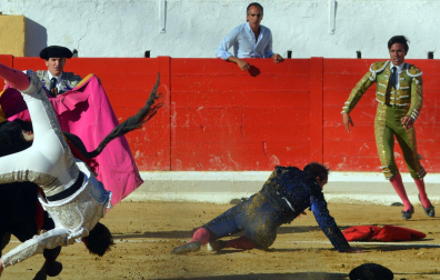 Fotos de la novillada y la cornada a Miguel Serrano en Peralta. /