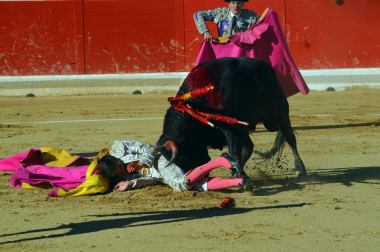 Fotos de la novillada y la cornada a Miguel Serrano en Peralta. /