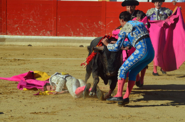 Fotos de la novillada y la cornada a Miguel Serrano en Peralta. /