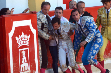 Fotos de la novillada y la cornada a Miguel Serrano en Peralta. /