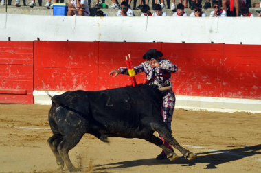 Fotos de la novillada y la cornada a Miguel Serrano en Peralta. /