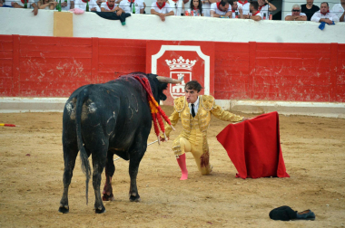 Fotos de la novillada y la cornada a Miguel Serrano en Peralta. /