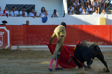 Fotos de la novillada y la cornada a Miguel Serrano en Peralta. /