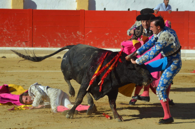 Fotos de la novillada y la cornada a Miguel Serrano en Peralta. /