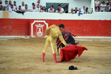 Fotos de la novillada y la cornada a Miguel Serrano en Peralta. /